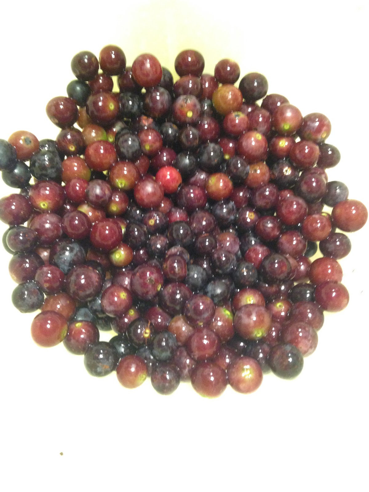 Lazy Bee Farm Fox Grape Goodness