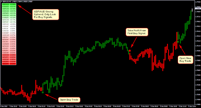 Neuro Shell Forex System