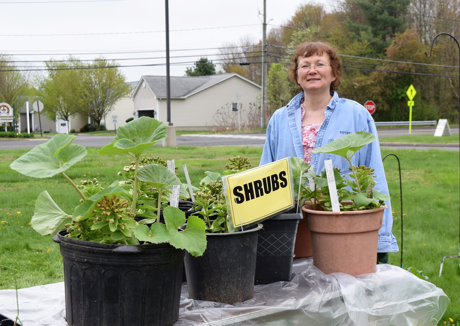 Enfield Garden Club 2019 PLANT SALE