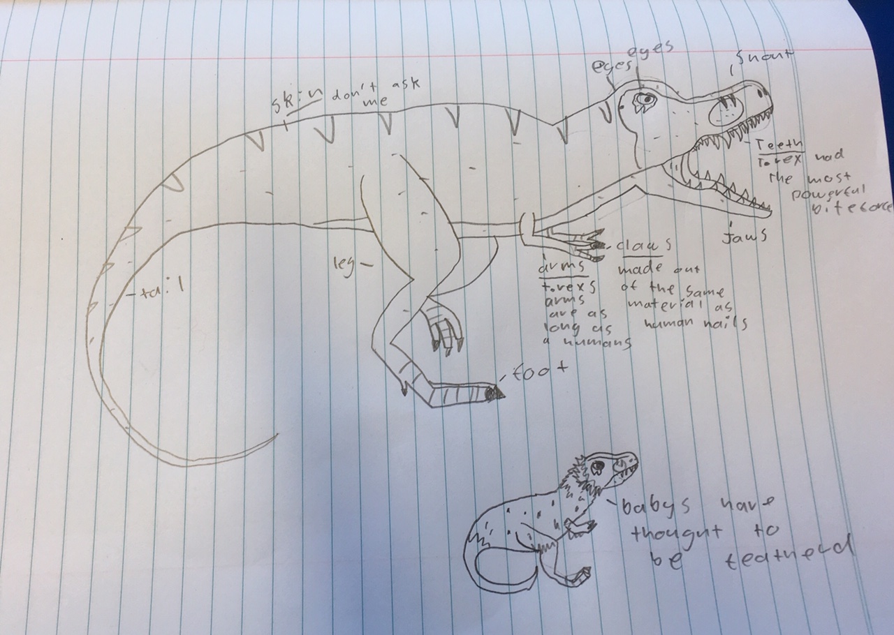 Fraser PS Year 5/6 Blogspace Annotated Diagrams in Reading