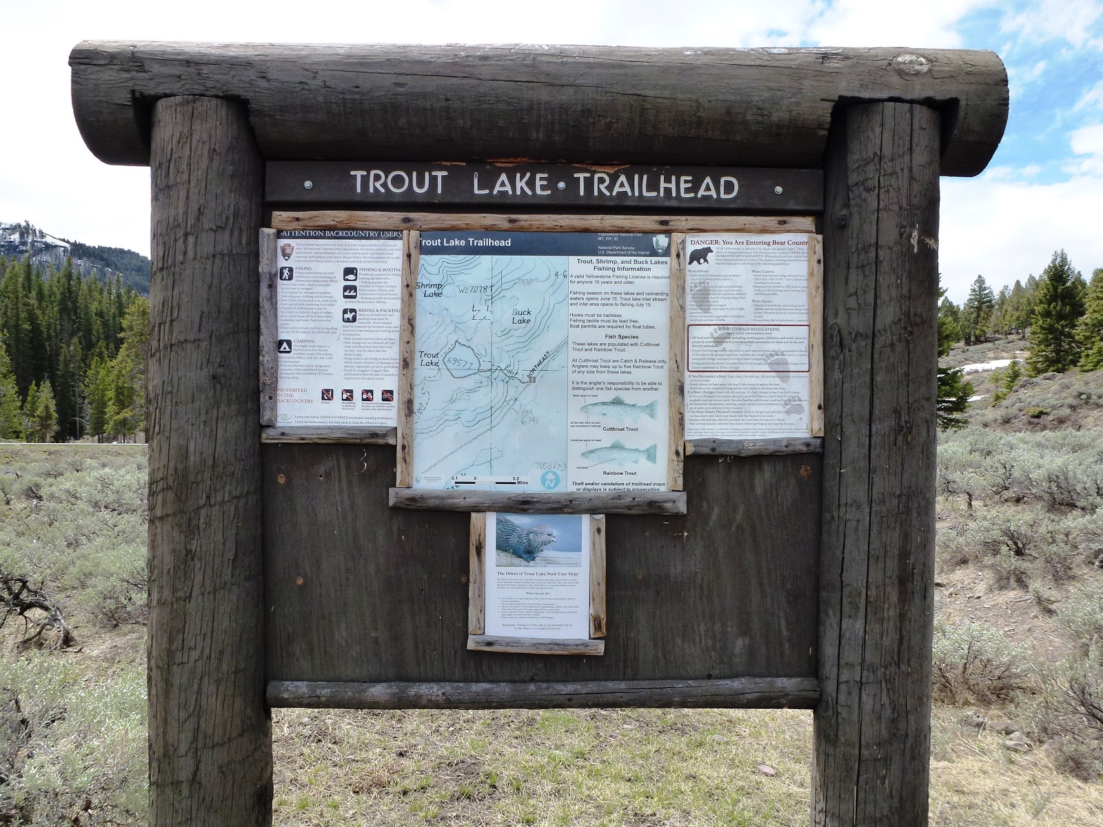 Brian and Ashley's Hiking Blog! Trout Lake Hike (Yellowstone National
