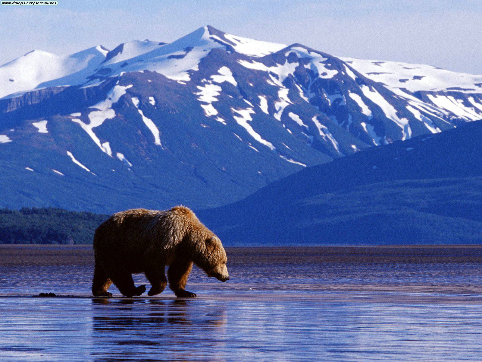 world-visits-alaska-largest-state-in-the-united-states