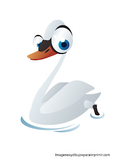 cisne con grandes ojos divertido