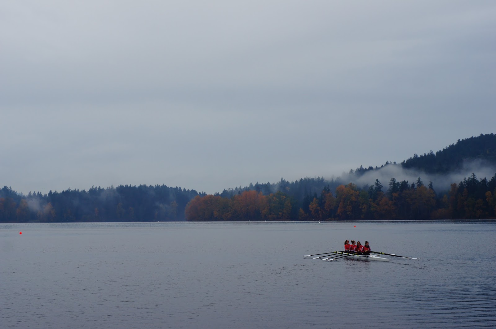 Victoria Daily Photo: November 2015