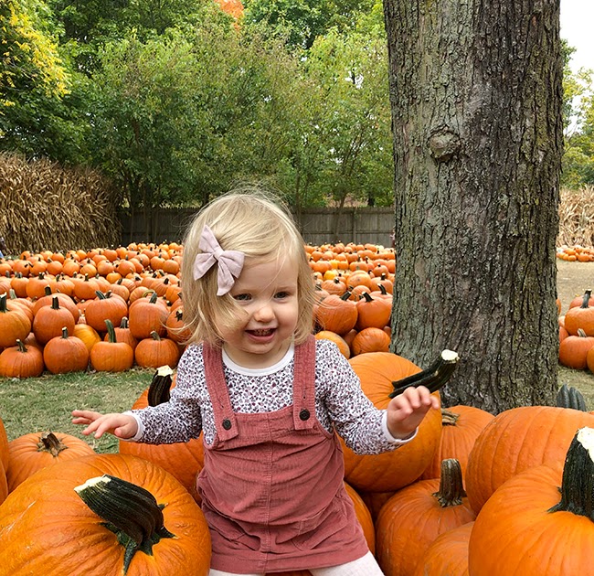 Kristina does the Internets: The Pumpkin Patch