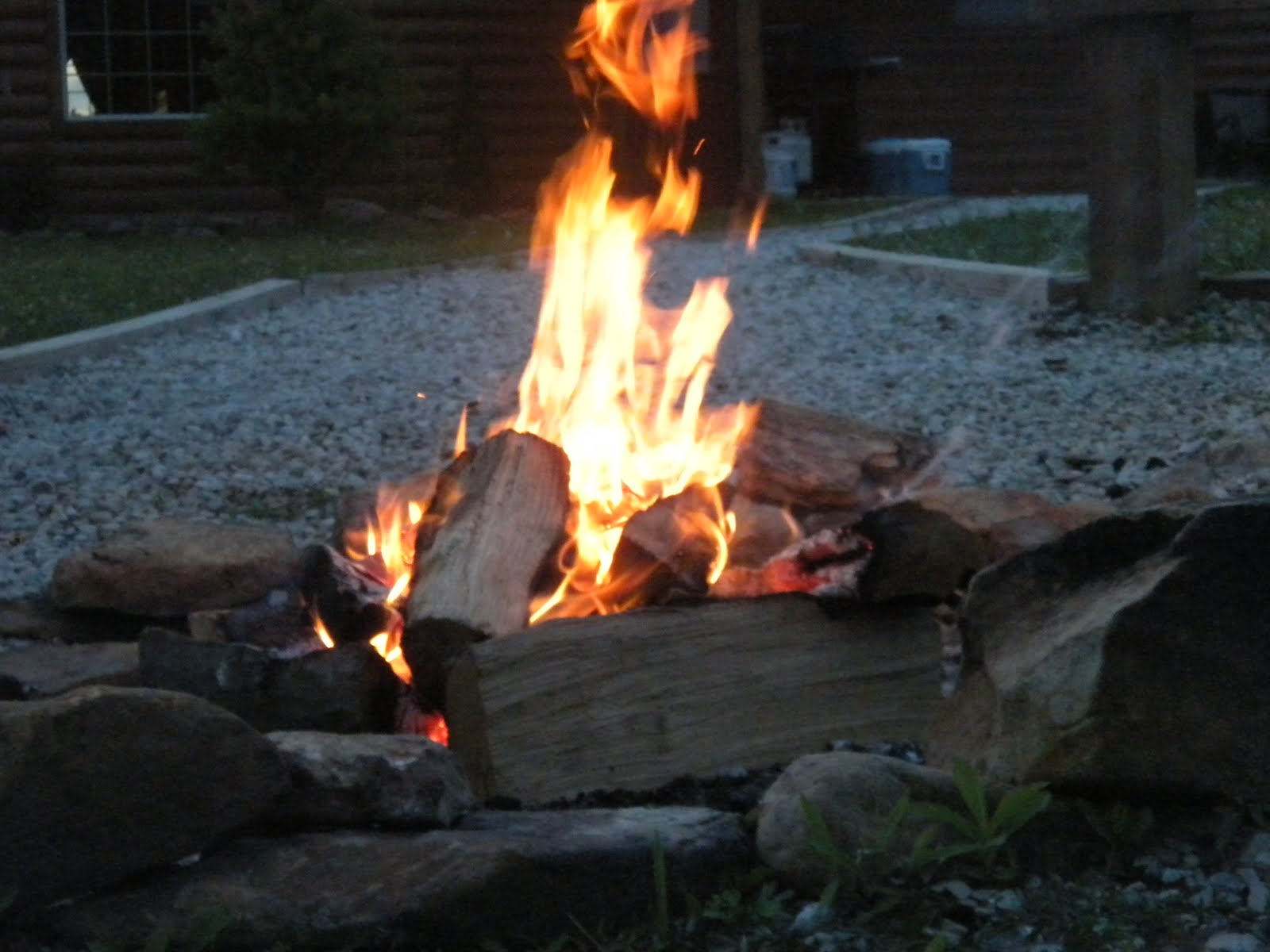 Come You Children: Joy with the June Winds