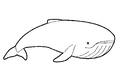 dibujos con imágenes de ballenas para colorear y pintar