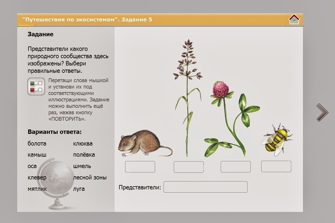 производители потребители разрушители в экосистеме. экологические компоненты экосистем. экосистема компоненты экосистемы. экосистемы ответы. схема состава компонентов экосистемы.