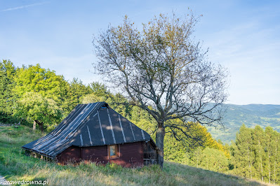 Kurna chata p. Ludwiki Nowakowej na szlaku czerwonym