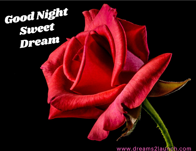 good night rose good night rose
