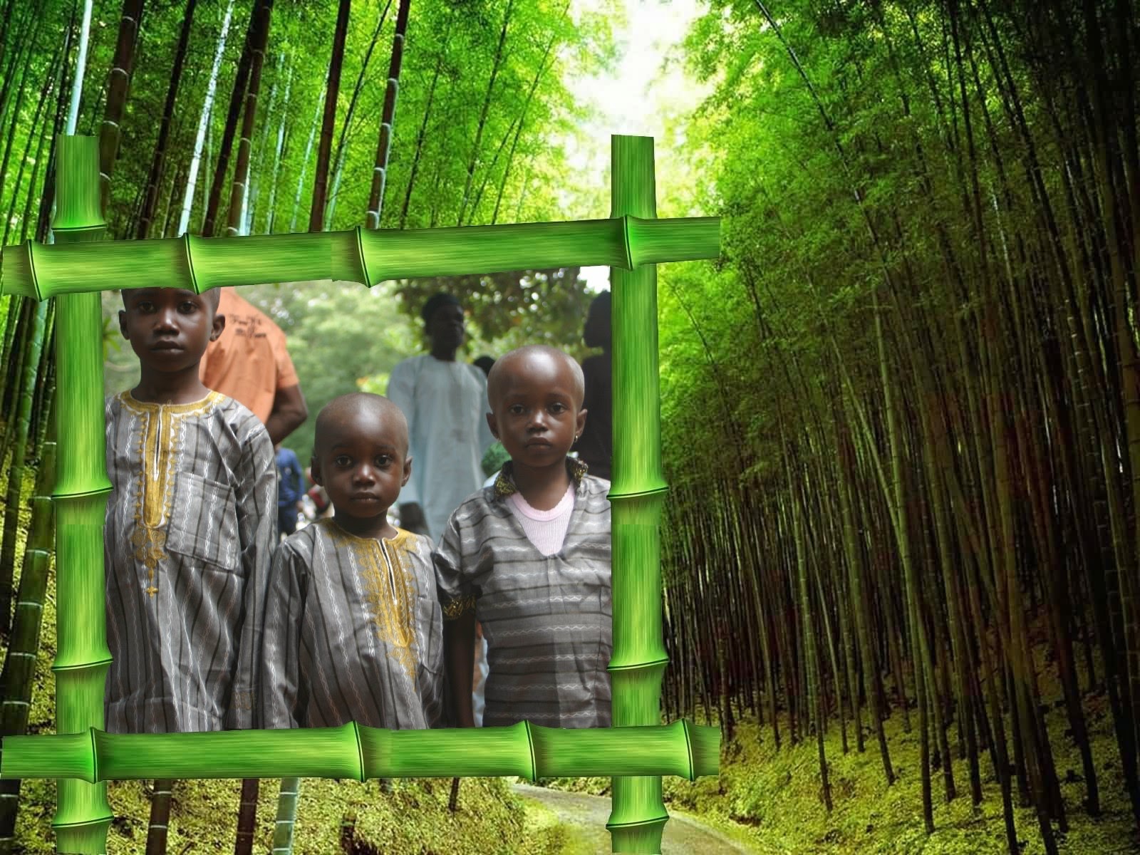 Term paper pdf free download image