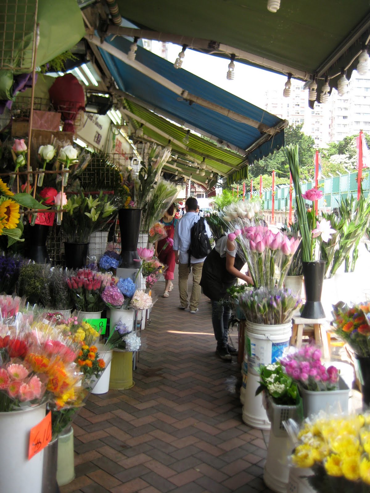 Ken & Patti's Hong Kong Adventure Kowloon Markets and Sai Kung