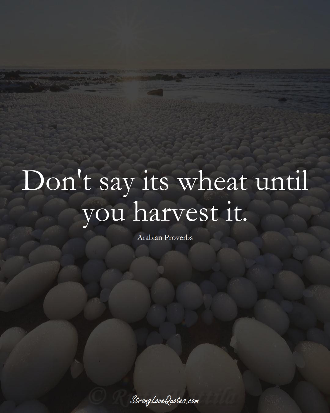 Don't say its wheat until you harvest it. (Arabian Sayings);  #aVarietyofCulturesSayings