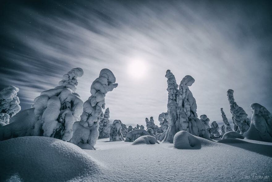 34 Reasons Why Lapland Is The Most Mythical Place To Celebrate Christmas 34 Reasons Why Lapland Is The Most Mythical Place To Celebrate Christmas