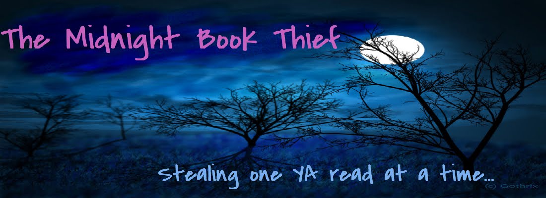 The Midnight Book Thief