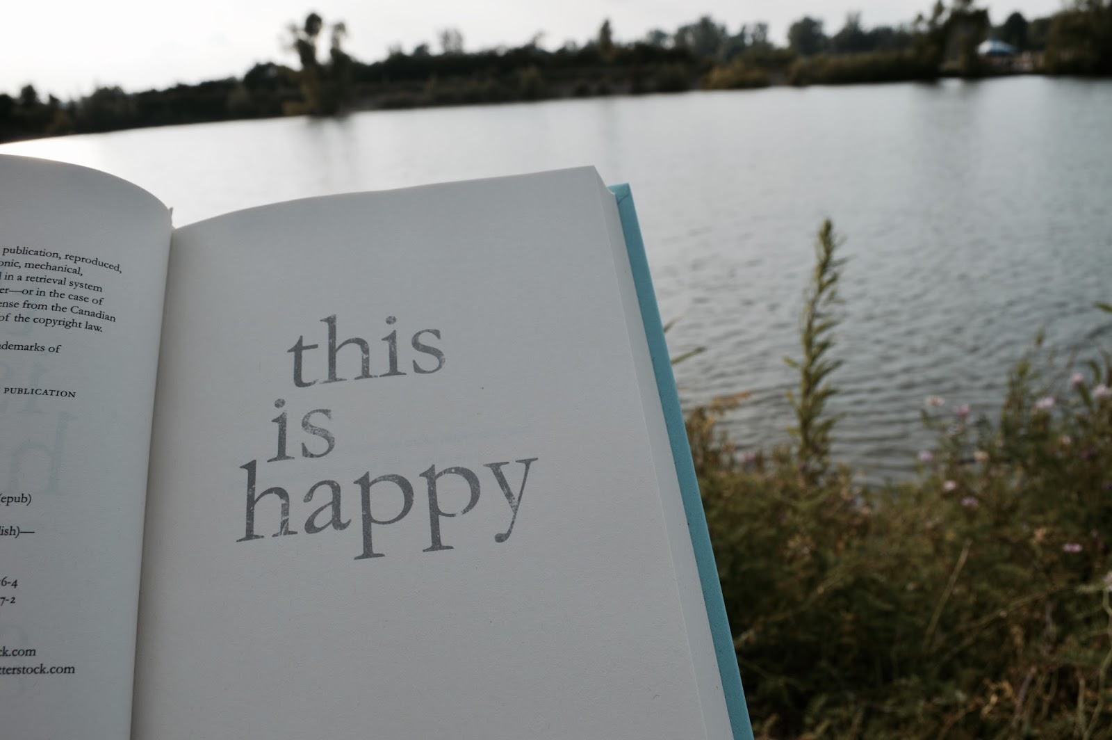This Is Happy