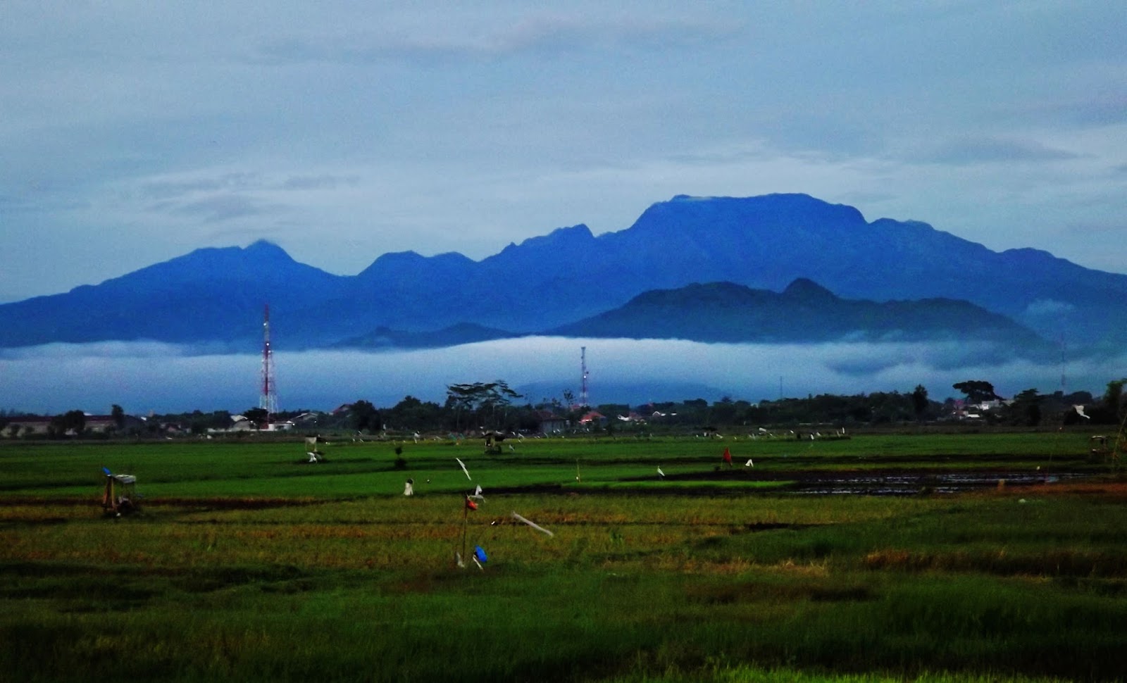 Pendakian Gunung Wilis via Bajulan