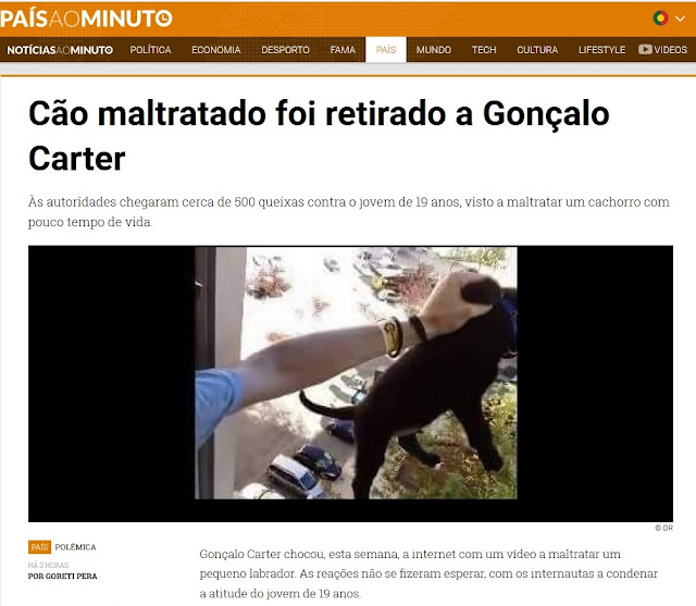 https://www.noticiasaominuto.com/pais/583128/cao-maltratado-foi-retirado-a-goncalo-carter?&utm_medium=social&utm_source=facebook.com&utm_campaign=buffer&utm_content=geral