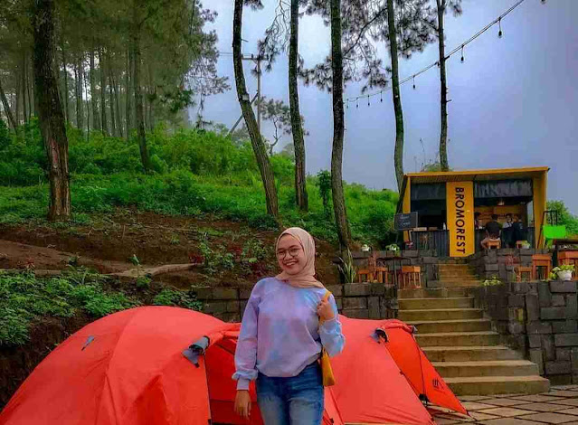 Bromo Rest, Kafe Kekinian Dengan Konsep Alam Pegunungan yang Dikelilingi Hutan Pinus Bromo Rest, Kafe Kekinian Dengan Konsep Alam Pegunungan yang Dikelilingi Hutan Pinus