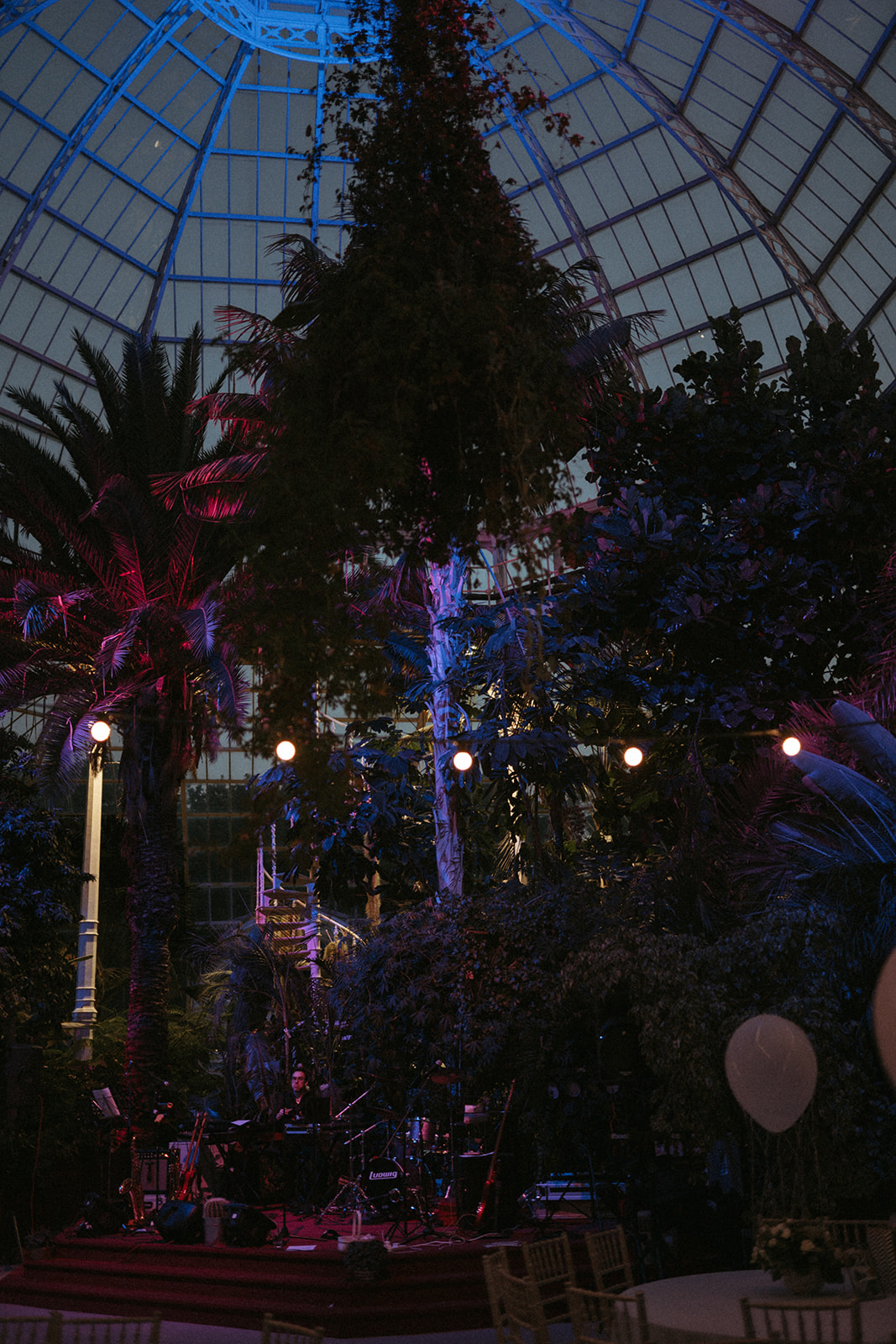 Christmas open 2022 marianos