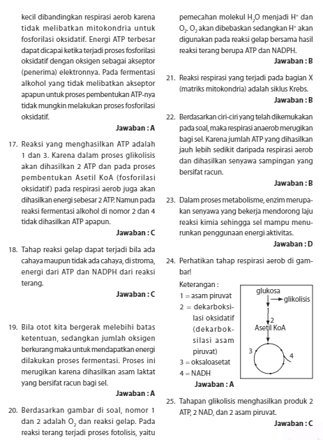 Soal Dan Pembahasan Metabolisme Guru Biologi
