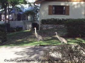 Eclectic Red Barn: Sandhill cranes going down the road