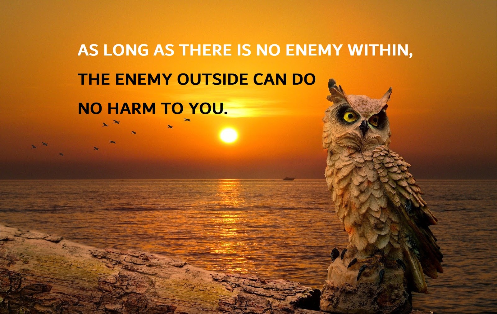 Captivating Quotes Inspiring Mobile Wallpapers for Endless Inspiration