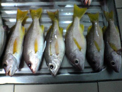 Dapurku Berasap Kari Ikan pisangpisang
