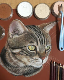 11-Danwon-The-Cat-Ivan-Hoo-Animals-Translated-to-Realistic-Drawings-www-designstack-co