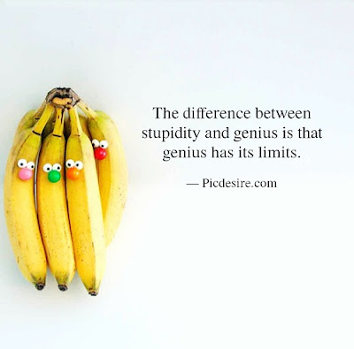 30 Funny Quotes to make you happy 30 Funny Quotes to make you happy