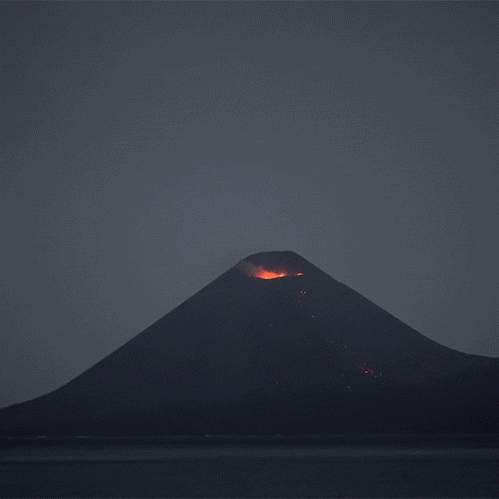 tumblr_d0c7260e8675e12d051b824d604a0222_7933fe6b_500.gif