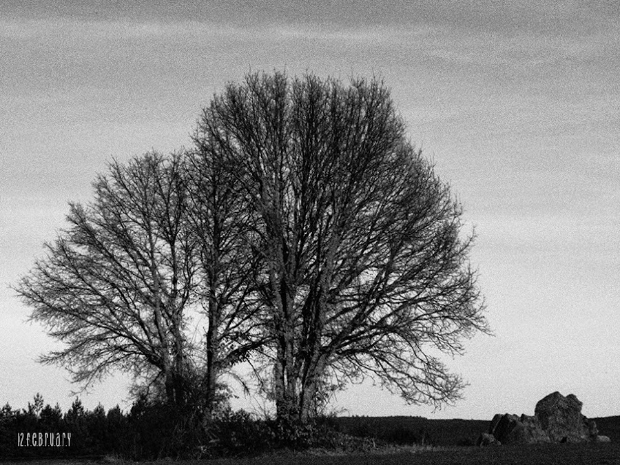 fotografía y lifestyle