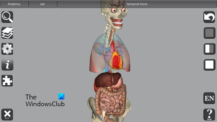 3D骨および臓器の解剖学ソフトウェア