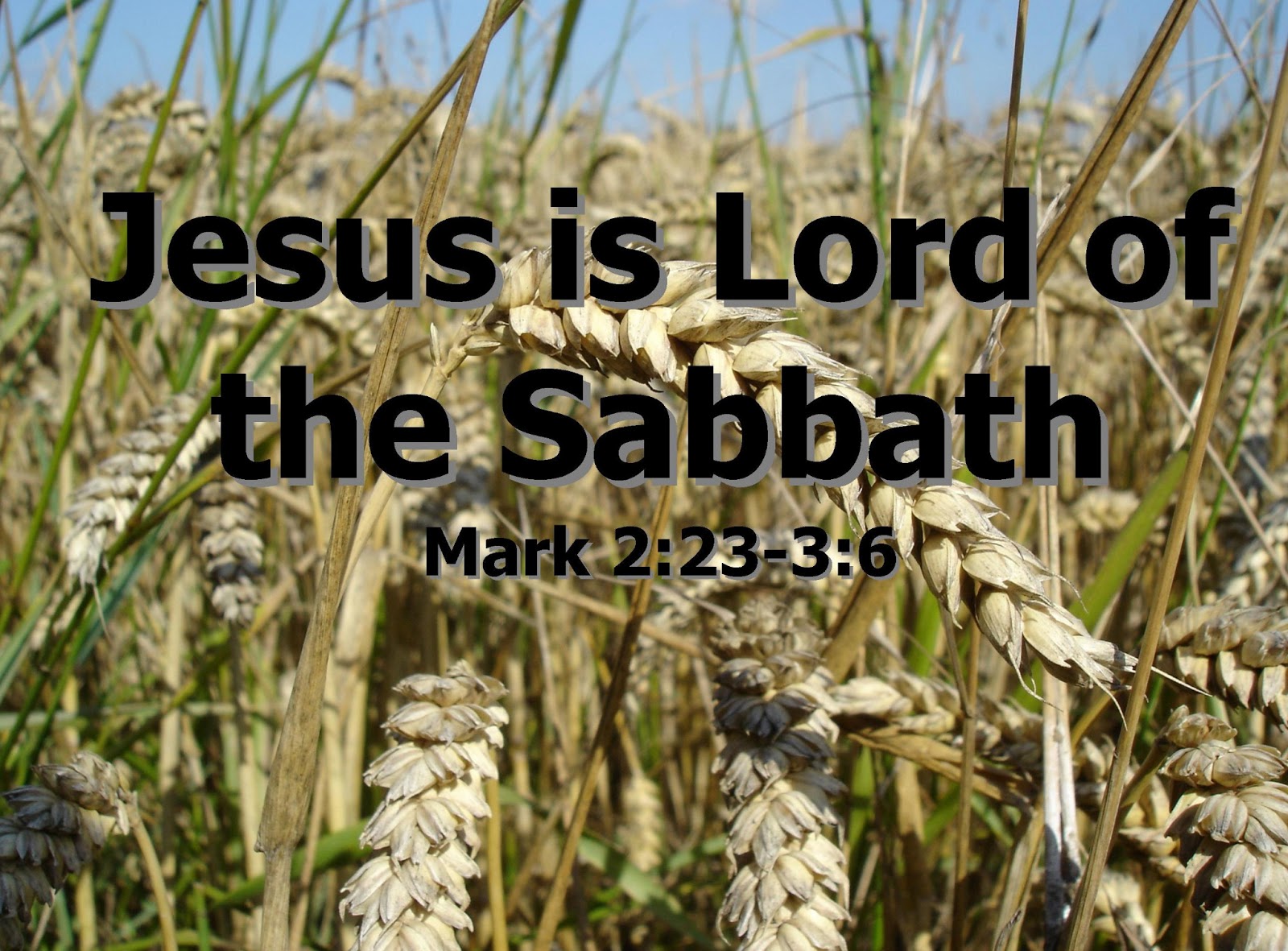 Urban Ministry Today The Lord of the Sabbath