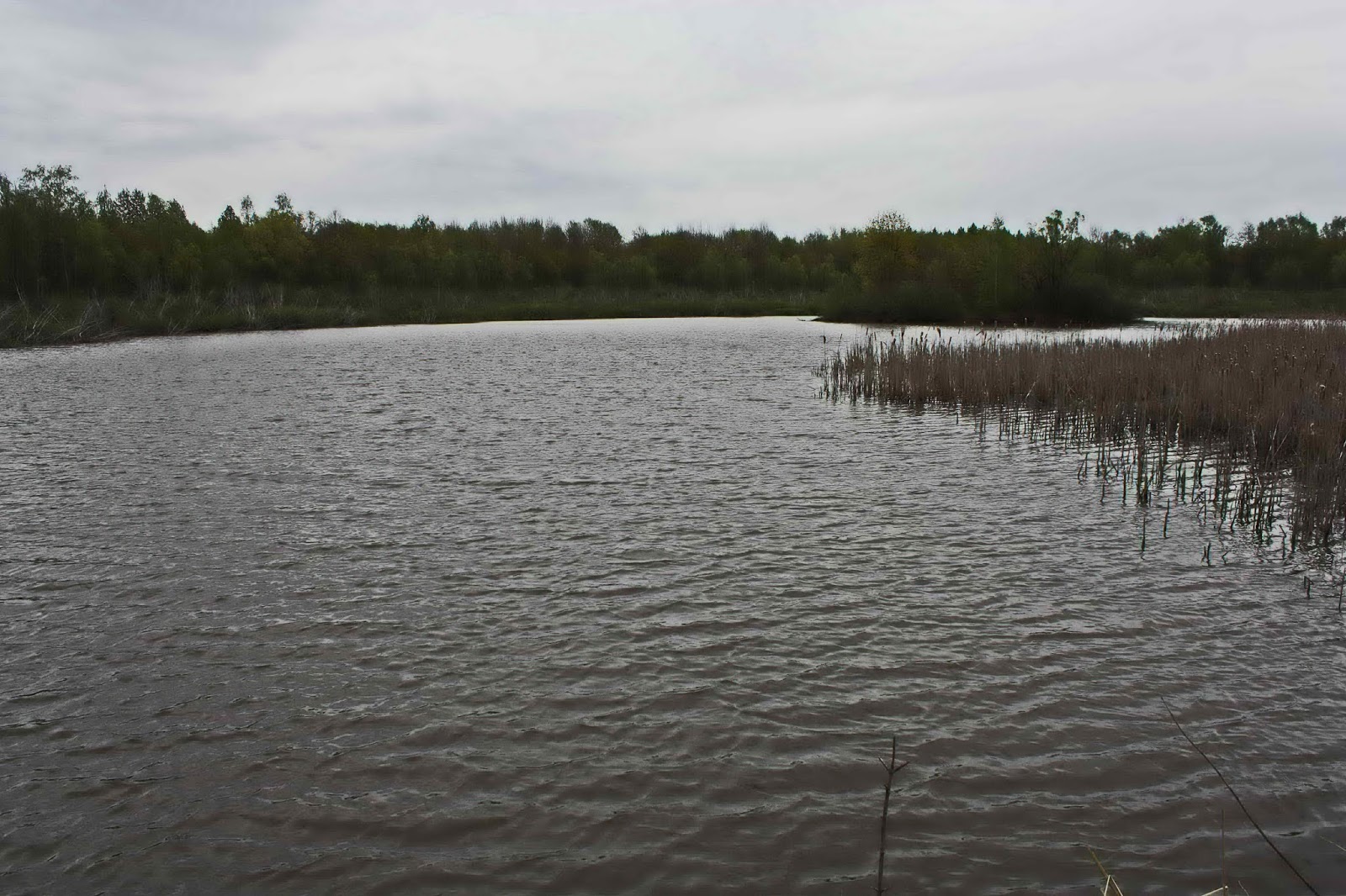 хутор лопатино лямбирский район. хутор лопатино лямбирский район мордовия. хутор лопатино лямбирский район мордовия. саранск хутор лопатино. погода хутор лопатино.