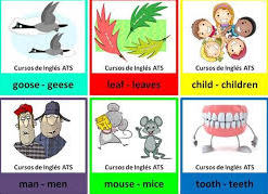 Lesson Plan of Plural of Irregular Nouns English Grade 3 | Effective