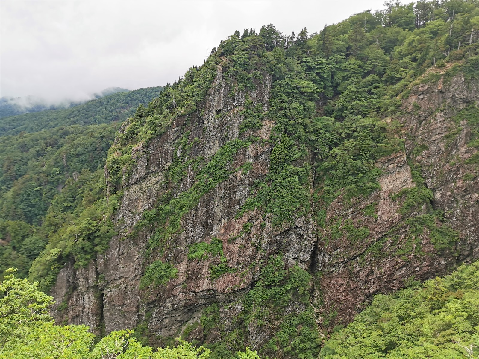 大蛇嵓が見どころ 降雨量日本一の大台ケ原にアラセブメタボ父と登るin梅雨 ちょっと寄り道の山