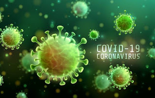 Casos de covid em canoinhas