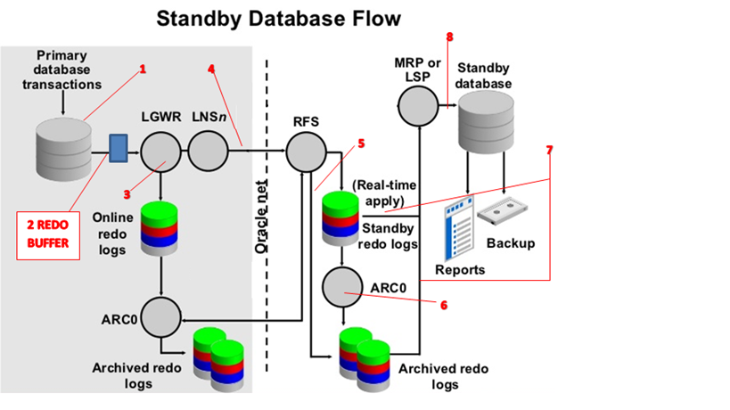 Oracle Database and Oracle APPs