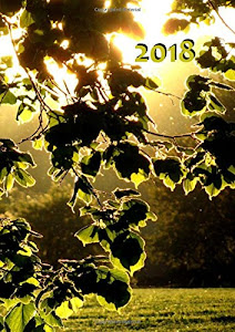 großer TageBuch Kalender 2018 - Blätter in der Abendsonne: DIN A4 - 1 Tag pro Seite