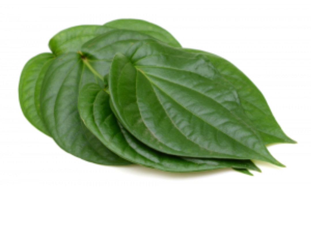 Betel leaves-uses- ఆయుర్వేదం నందు తమలపాకు ఉపయోగాలు . ~ MANNAMweb.com