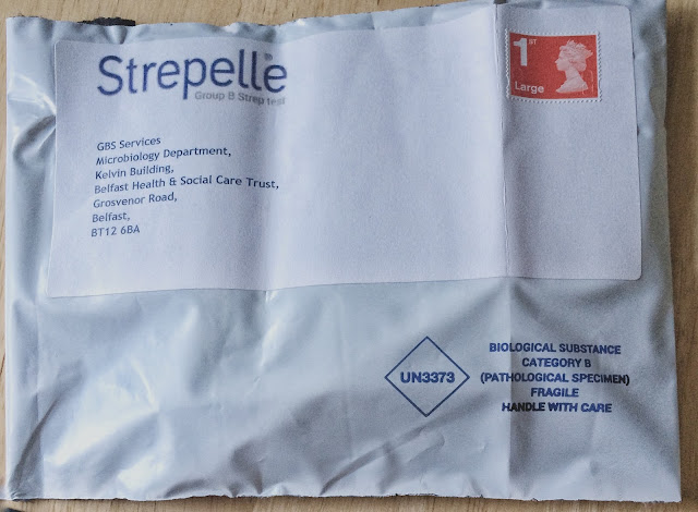 Strepelle Group B Streptococcus test instructions and review