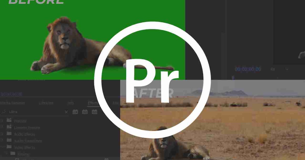 adobe premiere pro 2022 logo adobe premiere pro 2022 logo