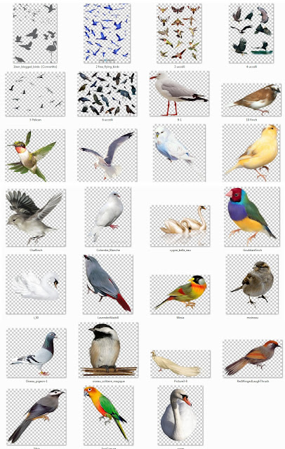 cut out birds #1b