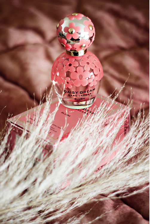 marc jacobs daisy dream blush edition  fragrance aimerose beauty blog review 