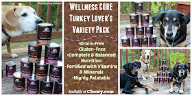 3 happy dogs with wellness dog food