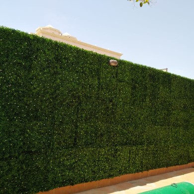 تنسيق حدائق منزلية بالرياض - تنسيق حدائق الرياض الرياض
