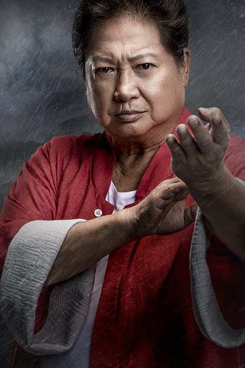 Top 10 Best Martial Artist Actor Of All Time Shotokan Karate