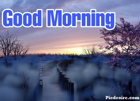 Best 20 Good Morning Images | Good Morning Images for Whatsapp Best 20 Good Morning Images | Good Morning Images for Whatsapp