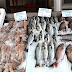 Επιτρέπεται και πάλι ο καθαρισμός των νωπών αλιευμάτων στις λαϊκές αγορές